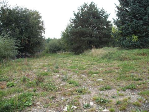 Foto 37